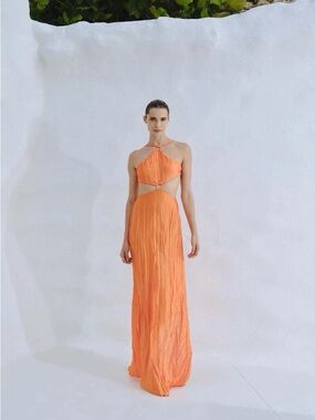 Baobab Collection Orange Halter Cutout Pleated Maxi